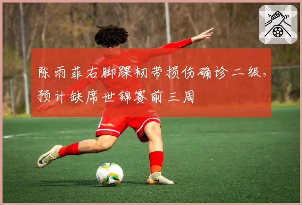 陈雨菲右脚踝韧带损伤确诊二级,预计缺席世锦赛前三周