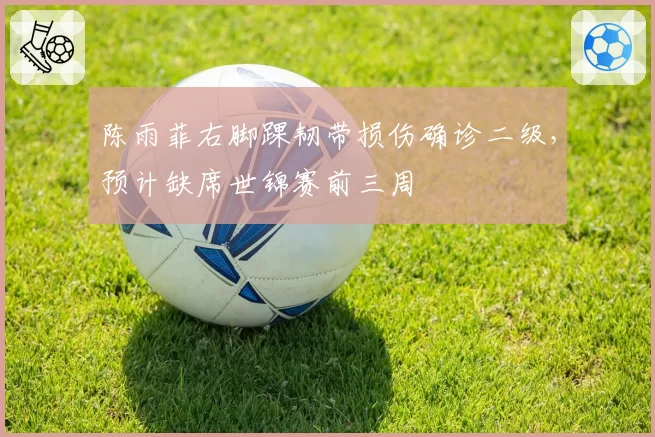 陈雨菲右脚踝韧带损伤确诊二级,预计缺席世锦赛前三周