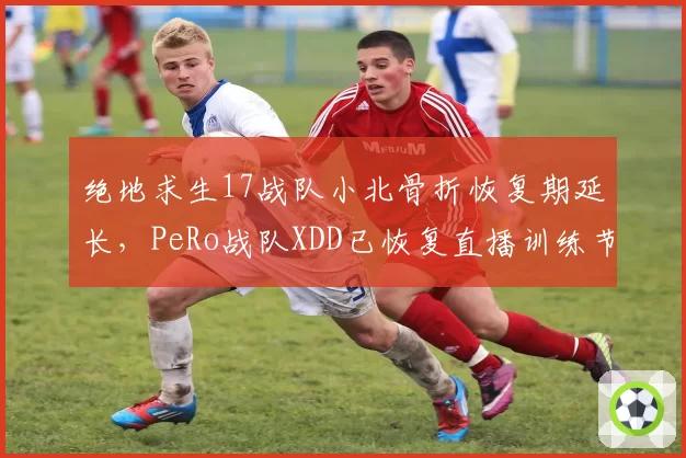 绝地求生17战队小北骨折恢复期延长，PeRo战队XDD已恢复直播训练节奏
